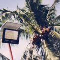 solar-light-2 solar-light-2